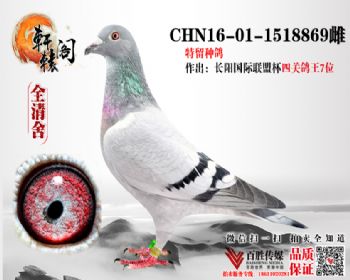 7ĸ 848Ů 16011518869