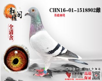 ̨7ƽ 16011518902
