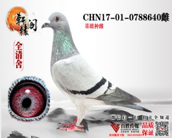 һճھֱŮ 17010788640