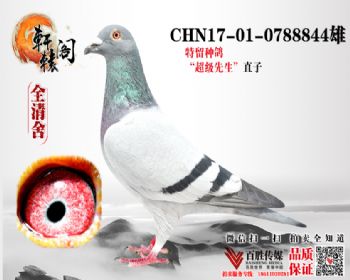 NPOھֱ 17010788844