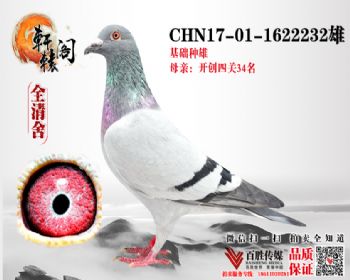 ߸34ֱ 17011622232
