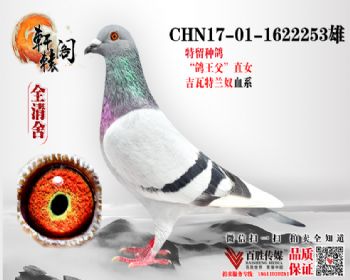 ̨7ƽ 17011622253