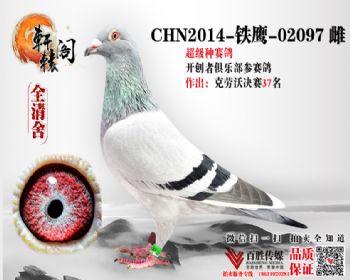 WHZBھֱŮ 14ӥ02097