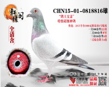 ظ4 15010818816