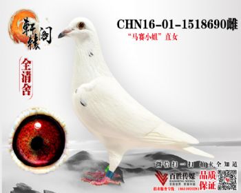 С 16011518690
