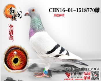 ˫ھֱŮ 16011518770