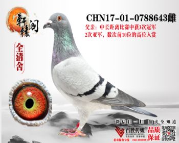 3ιھֱŮ 17010788643