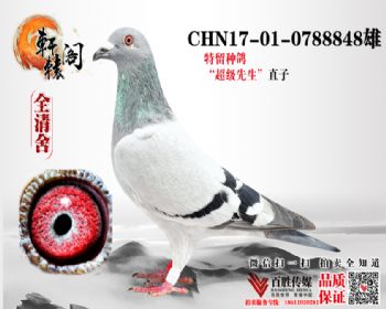 NPOھֱ 17010788848