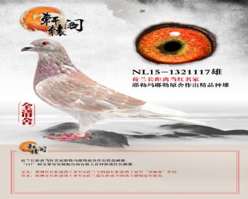 ŷ޳뵱 1321117