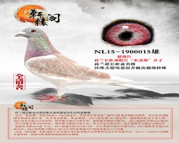  ǡ˹ֱNL151900015