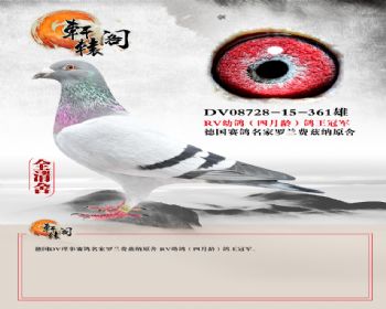 RV׸ھ 08728361