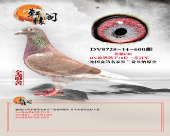 600RV׸10λһھ8728600