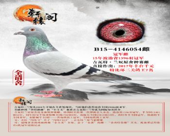 ūھơB154146054