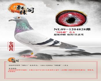 ֱŮ NL091204828
