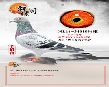 NPOھ NL143401054