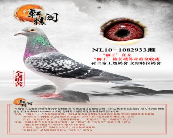 ˹ʨֱŮ NL101082933