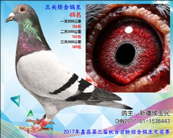 48 新疆侯玉民参考雄
