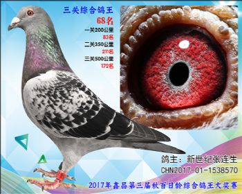 68 新世纪张连生参考雄