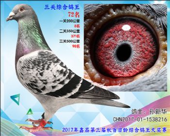 72 孙新华超级飞乐参考雄