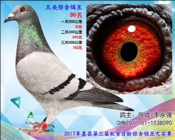 90 张成+李永强艾迪夏拉肯X赫伯特参考雌