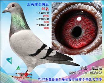 95 赵立波戈马利黑杰克叔叔X侄女参考雌