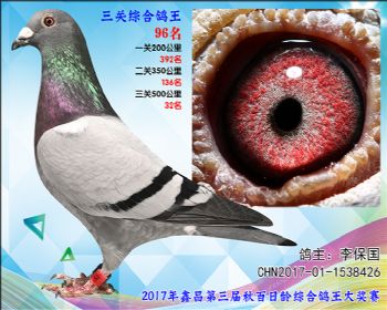 96 李保国卡普詹森参考雄