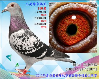 100 空中烈马参考雌