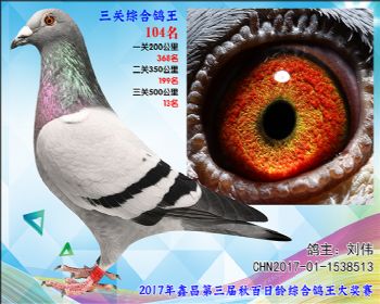 104 刘伟胡本公棚31名全同胞参考雌