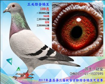 109 赵金参考雌