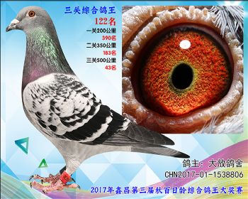 122 大放鸽舍桑杰士X速霸龙雌参考