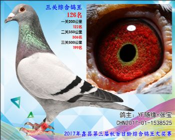 126 YF随缘+张宝速霸龙参考雄