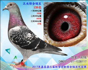 130 刘伟乔司佛卡门雄