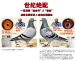 鿴ƷͼƬ