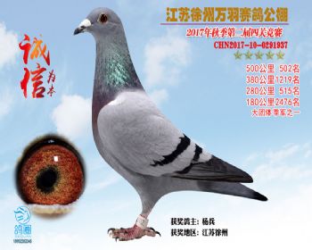 502