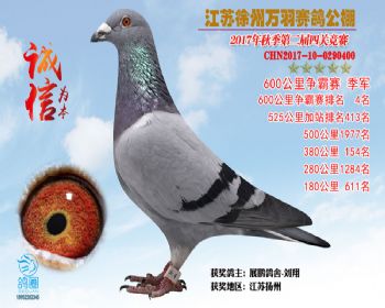 6004