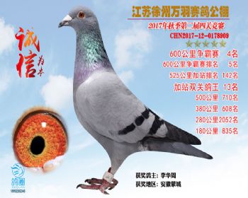6005