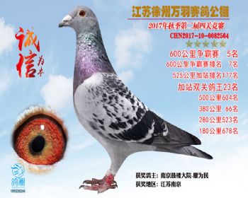 6007