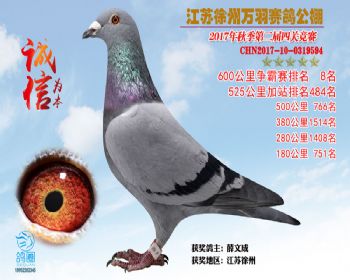 6008