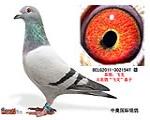 鿴ƷͼƬ