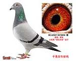 鿴ƷͼƬ