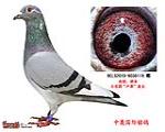 鿴ƷͼƬ