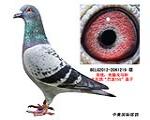 鿴ƷͼƬ