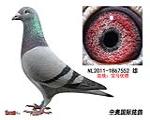 鿴ƷͼƬ