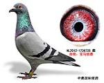 鿴ƷͼƬ
