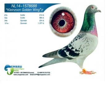 ˹šֱ 1578688