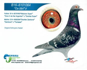 ܷȵܺ6101064