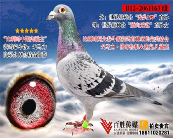 Ըִ߱2061163