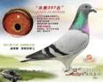 鿴ƷͼƬ