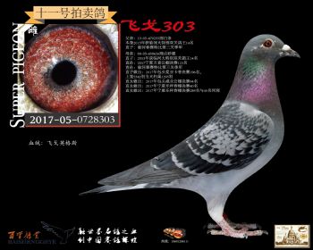 ɸ303