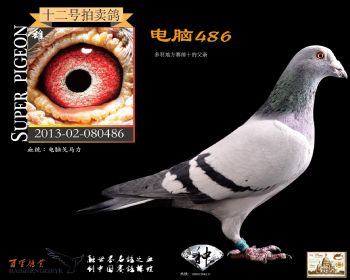 486